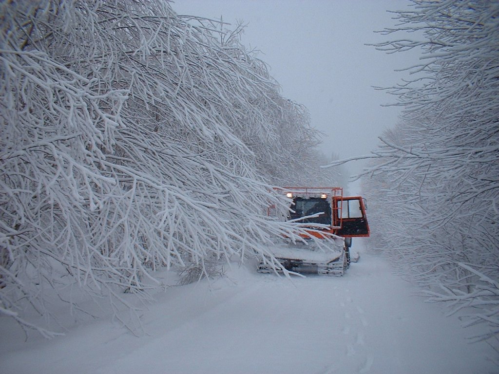 01 Trail304 March10 (2).jpg